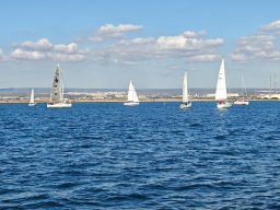 AUTUNNALE TARANTO 2026 - Foto